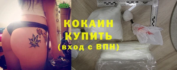 соль ск Каменка