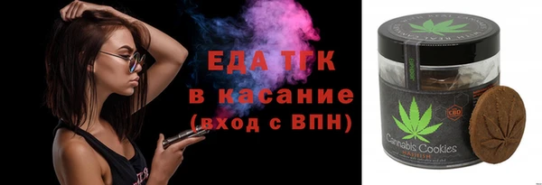 соль ск Каменка