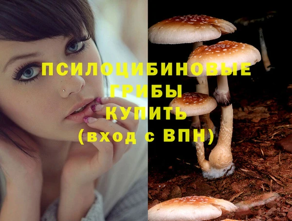 альфа пвп Каменногорск