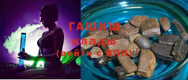 соль ск Каменка