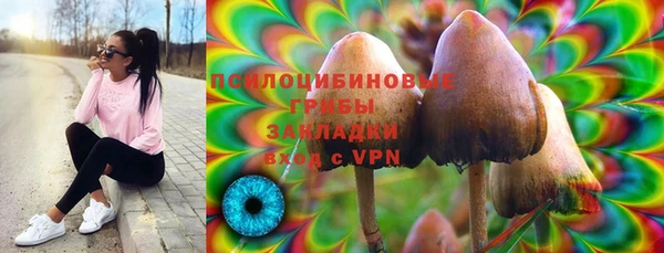 соль ск Каменка